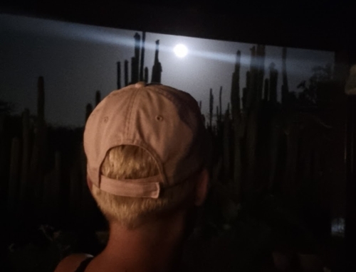 Hoe het allemaal begon