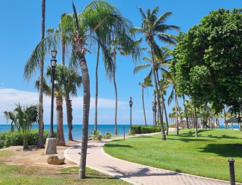 Als je voelt dat Nederland niet meer bij je past