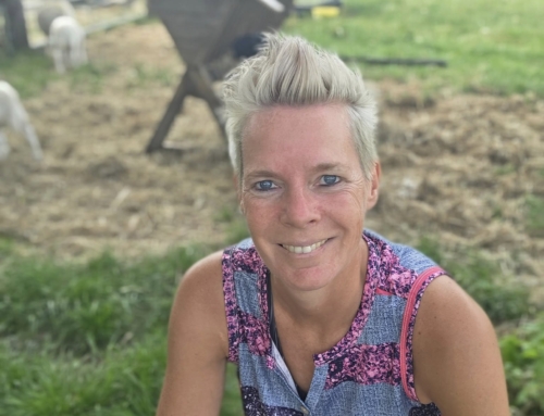 Een bijzondere update